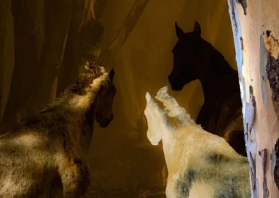 Three horses in silhouette, surrounded by dark foliage, create a mysterious atmosphere in a forest setting