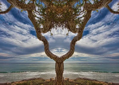 A twisted tree forms a heart shape above a tranquil ocean under a dramatic sky with clouds, creating a serene coastal scene
