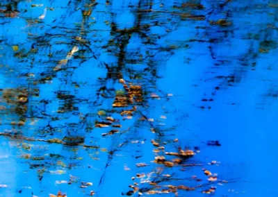 Reflections of tree branches and autumn leaves dance on a vibrant blue water surface, creating a serene, abstract pattern